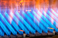 Flixton gas fired boilers